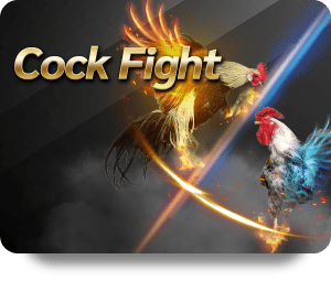 โมดูลเกม 03